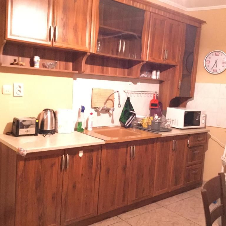 Проживание в семье Apartment Teo Плевен
